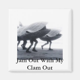 Clam magneet