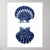 Clam Shells Navy Beach Decor Poster (Voorkant)