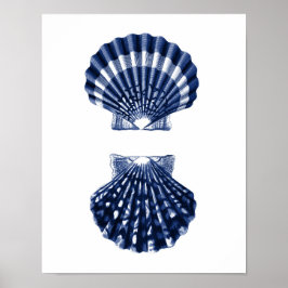 Clam Shells Navy Beach Decor Poster