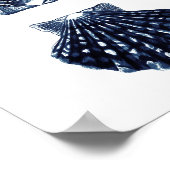 Clam Shells Navy Blue Beach Decor Poster (Hoek)