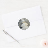 Clam Shells Stickers (Envelop)