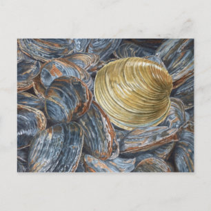 Clams en Quahog Art Briefkaart