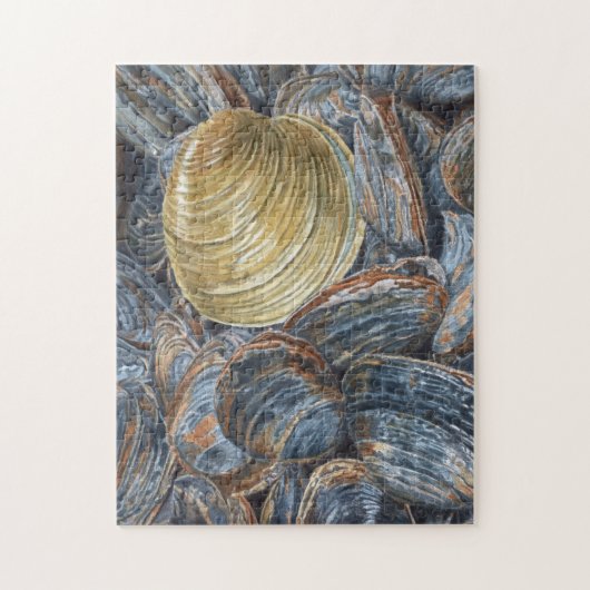 Clams et quhog Shell Puzzle (Vertical)