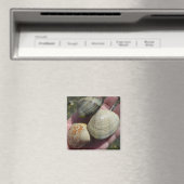 Clams et un aimant à Cockle (In Situ (Lave-vaisselle))