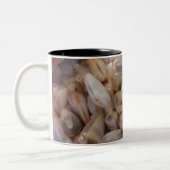 Clams Mok (Links)