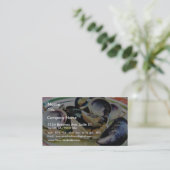 Clams Muscles Shellfish Food Visitekaartje (Staand voorkant)