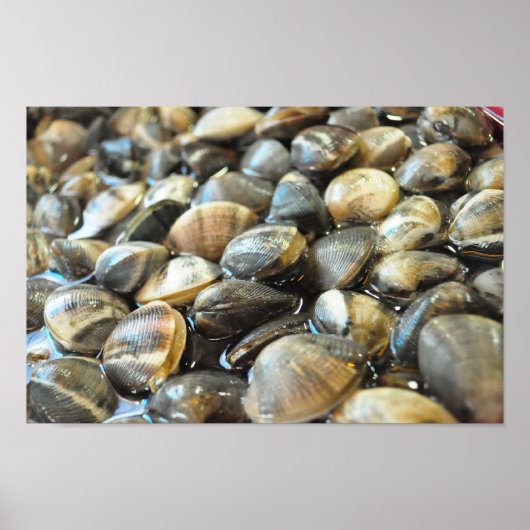 Clams - Up Close en Personal - High Definition Poster (Voorkant)