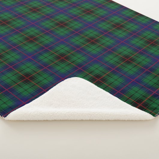Clan Davidson Tartan Plaid (3/4)