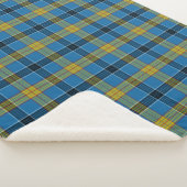 Clan écossais Laing Tartan Plaid (3/4)