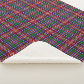 Clan écossais Ritchie Tartan Plaid (3/4)