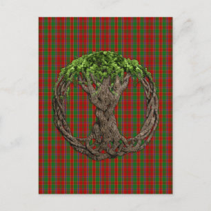 Clan Munro Tartan en de Keltische Levensboom Briefkaart