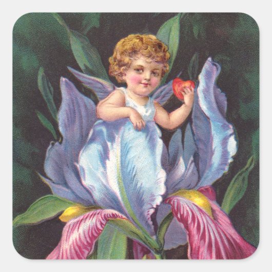 Clapsaddle: Bloem Cherub Iris Vierkante Sticker (Voorkant)