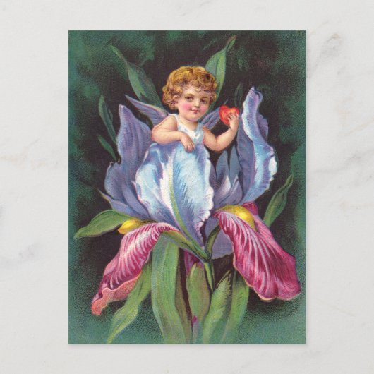 Clapsaddle: Flower Cherub Iris Briefkaart (Voorkant)