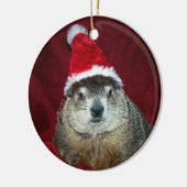 Clara Groundhog Ornament 2 (Links)