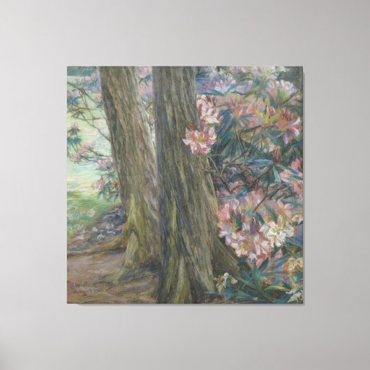 Clara Voortman Rhododendron Struik in een tuin Canvas Afdruk (Voorkant)