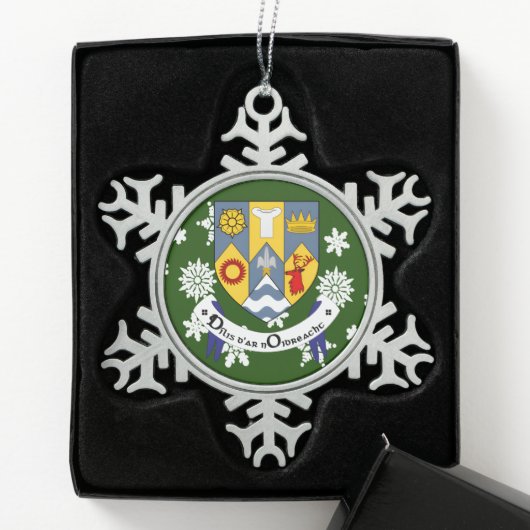 Clare Ireland Crest Irish Tin Sneeuwvlok Ornament (Kistje)