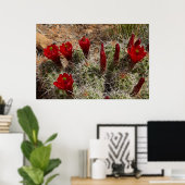 Claret Cup cactus bloemen 2 Poster (Thuiskantoor)
