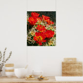 Claret Cup Cactus Wildbloemen Poster (Keuken)