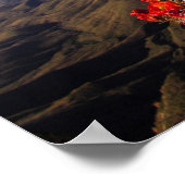 Claret Cup Cactussen - Big Bend, Texas Poster (Hoek)