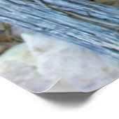 Claret Cup Poster (Hoek)