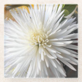 Claricia Glazen Onderzetter (Voorkant)