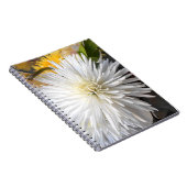 Claricia Notitieboek (Rechterzijde)