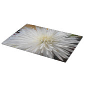 Claricia Snijplank (Hoek)