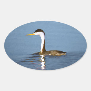 Clark's Grebe Painting - Oorspronkelijke vogelkuns Ovale Sticker