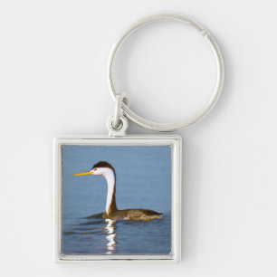 Clark's Grebe Painting - Oorspronkelijke vogelkuns Sleutelhanger