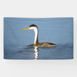 Clark's Grebe Painting - Oorspronkelijke vogelkuns Spandoek