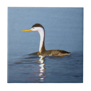 Clark's Grebe Painting - Oorspronkelijke vogelkuns Tegeltje