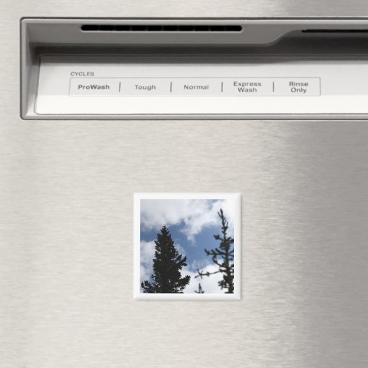 Clark's Nutcracker 2 x 2 magnet Magneet (Insitu (Vaatwasser))