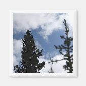 Clark's Nutcracker 2 x 2 magnet Magneet (Voorkant)