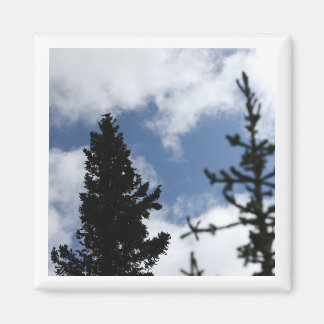 Clark's Nutcracker 2 x 2 magnet Magneet