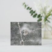 Clark's Nutkraker Briefkaart (Staand voorkant)