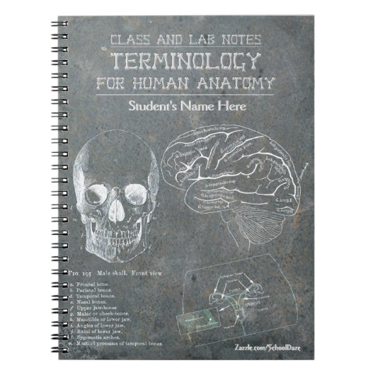 Class and Lab Notes - Terminologie (gepersonalisee Notitieboek (Voorkant)