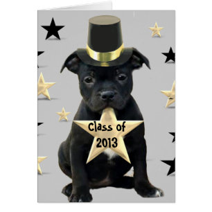 Classe de la carte 2013 de bull-terrier du
