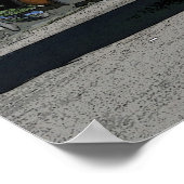 CLASSIC BEAUTY POSTER (Hoek)