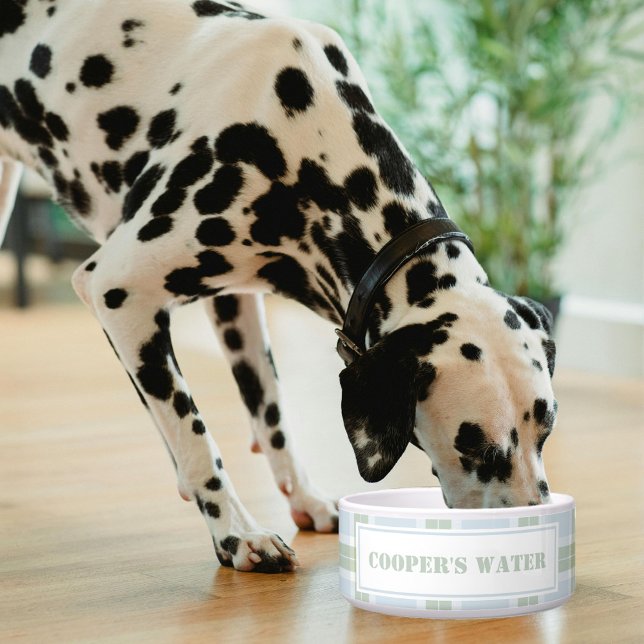 Classic Blue Green Plaid Pattern Name Dog Water Voerbakje (Creator heeft geüpload)