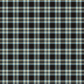 Classic Blue Plaid Shower Curtain for Modern Man Douchegordijn