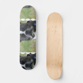 Classic Boston Terrier Dog Skateboard (Voorkant)