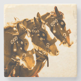 Classic Clydesdale marmer Stenen Onderzetter