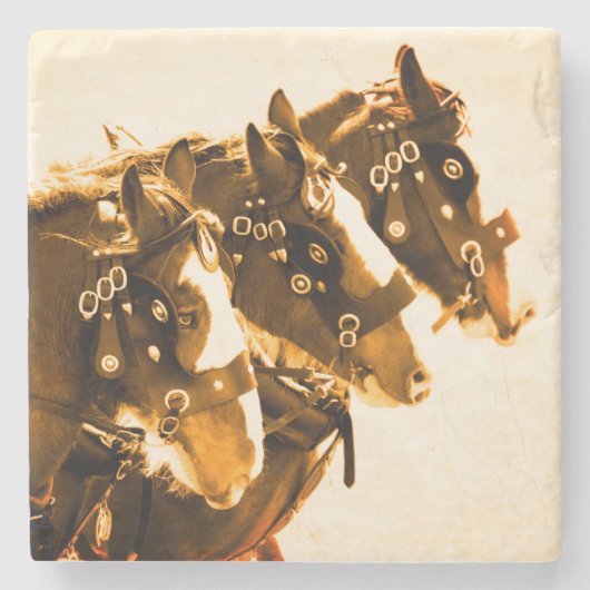 Classic Clydesdale marmer Stenen Onderzetter (Voorkant)