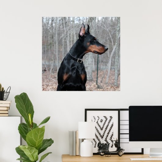 Classic Doberman afbeelding Poster (Thuiskantoor)