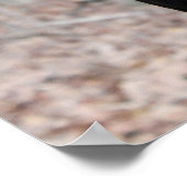 Classic Doberman afbeelding Poster (Hoek)