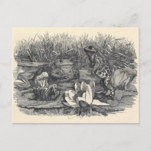 Classic Illustration Briefkaart