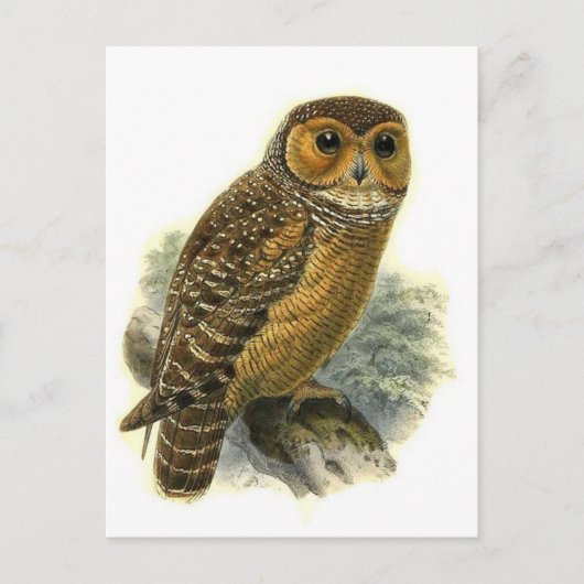 Classic Illustration Briefkaart (Voorkant)