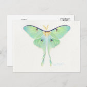 Classic Illustration Briefkaart (Voorkant / Achterkant)