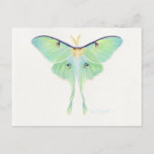 Classic Illustration Briefkaart (Voorkant)