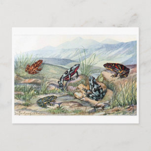 Classic Illustration Briefkaart